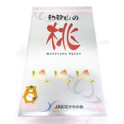 フルーツ王国 和歌山の桃 約4kg