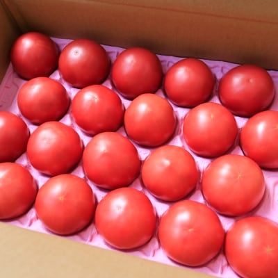 【2019年7月発送】 桃太郎トマトAM×3kg(20玉)
