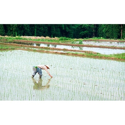【令和3年産】計量いらずで簡単・便利「南魚沼産こしひかり真空2合×10袋入」(精米)