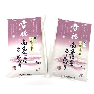 「2021年7月上旬発送」【令和2年産】「特別栽培米南魚沼産こしひかり」雪穂10kg(精米)