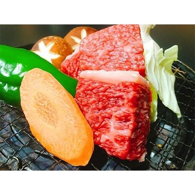 黒毛和牛 近江牛 【並】 角厚切り肉 ご家庭用 500g 冷凍　BM01