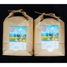 【令和5年産】 大泊なずみ米 10kg(5kg×2袋)