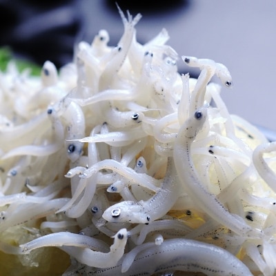 静岡県駿河湾産 しらす干し150g×3・釜上げしらす200g×3