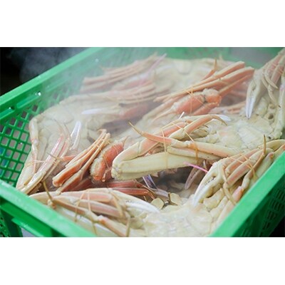 魚政推奨 未冷凍 厳選茹で松葉ガニ 中サイズ 900g級2匹セット