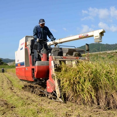 循米めぐり米 きぬむすめ岡山県真庭産 10kg