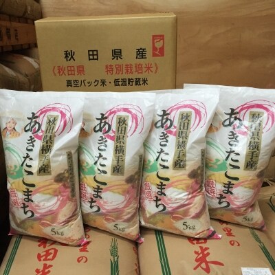 横手市平鹿町醍醐地区産厳選あきたこまち計100kg【20kg×5回発送】