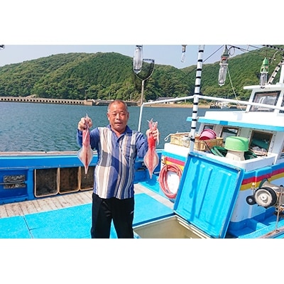 対馬産剣先イカ(生冷凍)3枚