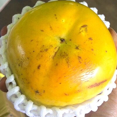 ご家庭用　太秋柿　約3.7kg×2箱