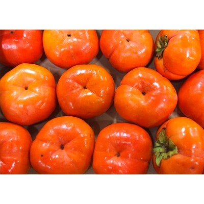 ご家庭用　早秋柿　約3.7kg×2箱