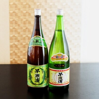 【早瀬浦】本醸造1800ml(1本)と純米吟醸越の雫1800ml(1本)のセット