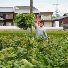 さつまいもと丹波黒枝豆の収穫体験(6名様まで)