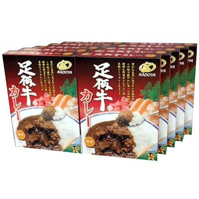 足柄牛カレー 200g×10個セット