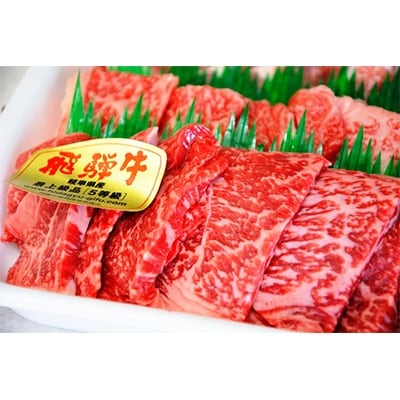 やまちゃん飛騨牛焼肉セット　計約1kg(オリジナルタレ付き)
