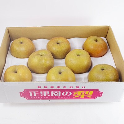 神奈川県中井町産　豊水大玉(5kg)