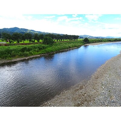 「2020年3月中旬発送」【令和元年産】南魚沼産新之助　5kg×1袋