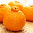 和歌山有田の濃厚デコポン　15～24玉(約5kg)