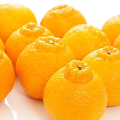 和歌山有田の濃厚デコポン　15～24玉(約5kg)