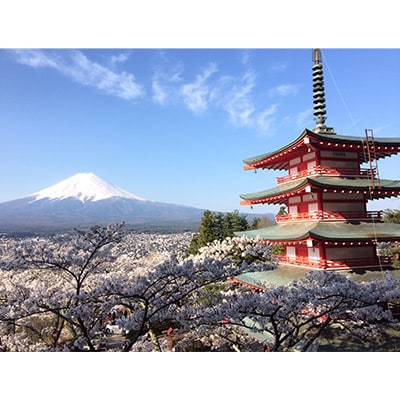 おもてなしタクシー4時間コース