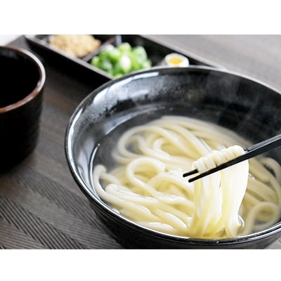 【工場直送】　本場さぬきうどん半生(つゆ付)(6人前)
