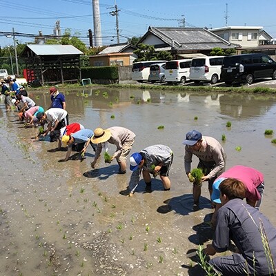 ●ホスのお米(玄米)10kg