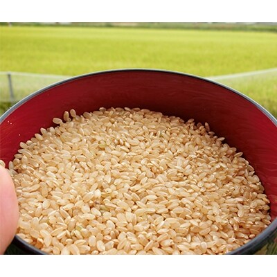 ●ホスのお米(玄米)10kg
