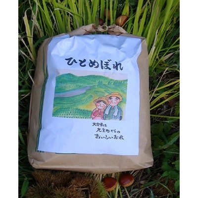 『地元ブランド九重米』ひとめぼれ　6kg