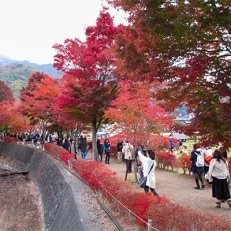 1泊2日 『紅葉探勝in樹海探検』 参加権【平成30年10月27日(土)～28日(日) 】