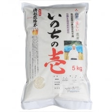 飛騨産「いのちの壱」5kg×3袋　特別栽培米【令和5年産】