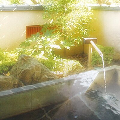 【楽水園】甲州ワインビーフプラン1泊2食付ペア宿泊券