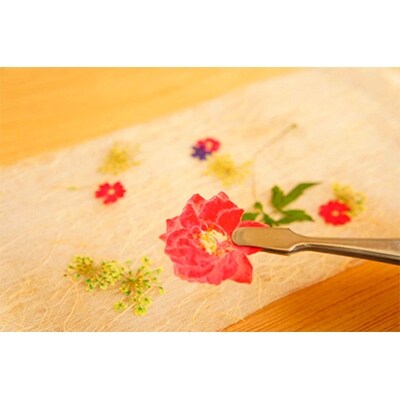 ミュゼグラス　押し花「千鳥草」