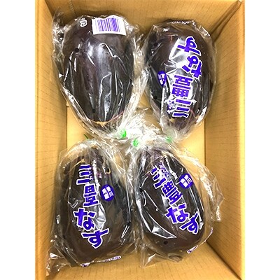 三豊市特産　とろける果肉「三豊なす」約2kg