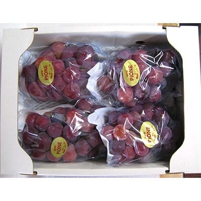 ロゼピオーネ 約2kg