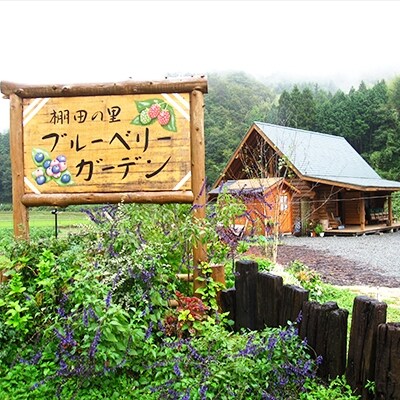 棚田の里ブルーベリーガーデンのブルーベリージャム 3コセット