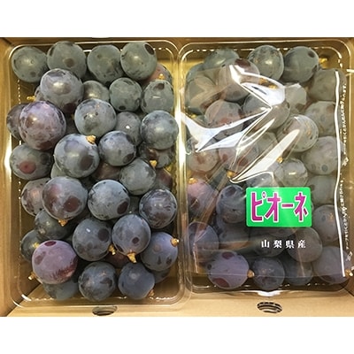 旬の葡萄　種無しピオーネ粒　2kg