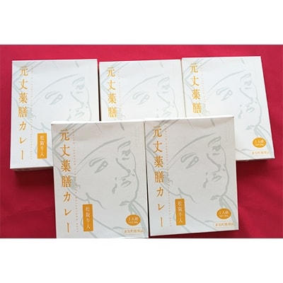 松阪牛入り元丈薬膳カレー(200g×5箱)