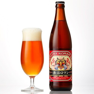 【古代赤米地ビール】赤沼ロマンビール (500ml×6本)×2箱
