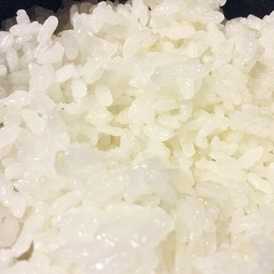 【先行受付】令6年産　栽培期間中農薬不使用佐渡コシヒカリ(在来種)玄米3kg