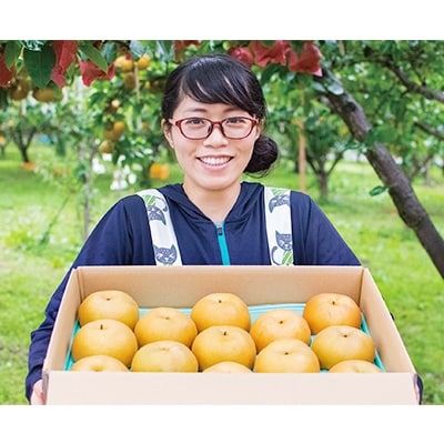 真田の里　上田市産　和梨(南水)　5kg