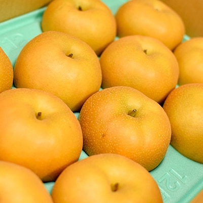 真田の里　上田市産　和梨(南水)　5kg