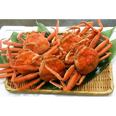 新湊産 香箱ガニ 5尾(計約800g) | 富山県射水市 | ふるさと納税