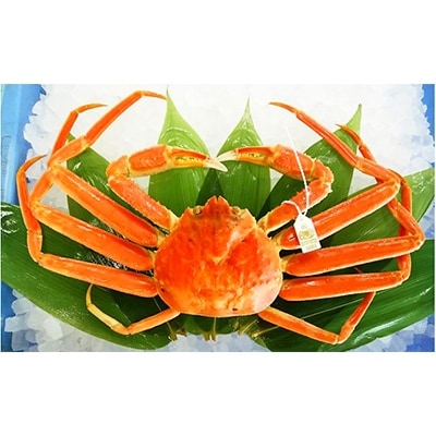 【食べ比べ】本ずわいがに・香箱がに2種