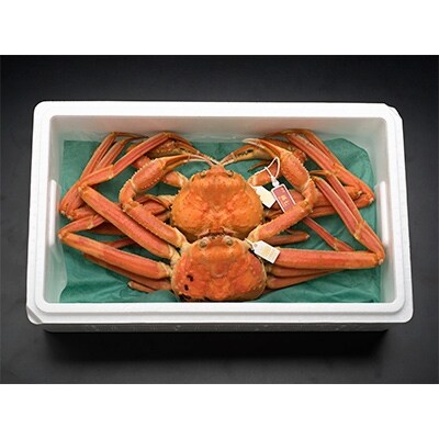【特選】本ずわいがに約900g×2尾(孫七タグ付き)