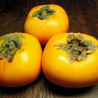 和歌山産 みかんとたねなし柿セット 秀品10kg (各5kg)