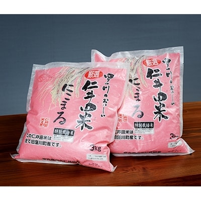四万十育ちの美味しい「仁井田米」にこまる6kg