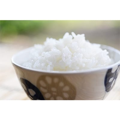 四万十育ちの美味しい「仁井田米」にこまる6kg