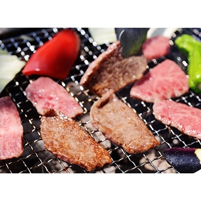 四万十麦酒牛(しまんとビールぎゅう)の特選厚切り焼き肉セット　500g