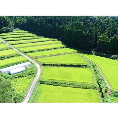 【令和4年産】唐津市七山産棚田米 夢しずく10kg