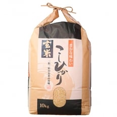 令和5年産　石川県能登産こしひかり　玄米10kg(10kg×1袋)