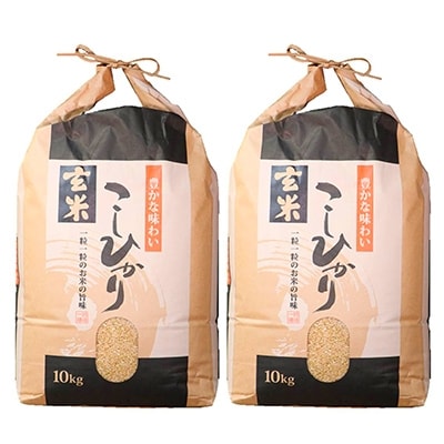 令和3年産 石川県能登産こしひかり 玄米20kg(10kg×2袋)