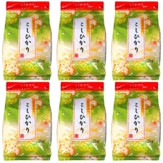 令和5年産　石川県能登産こしひかり　精米12kg(2kg×6袋)